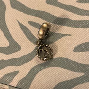 Pandora Charm Bracelet Charm